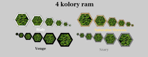 68491578_869053400133015_8895560998744752128_n.png