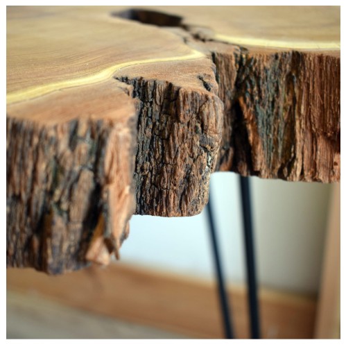 robinia 3.jpg