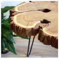 robinia 4.jpg
