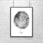 Grafika Dąb  50/70 cm 