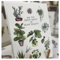 plant.jpg