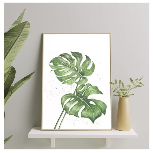 monstera.jpg