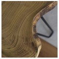 robinia_1.jpg