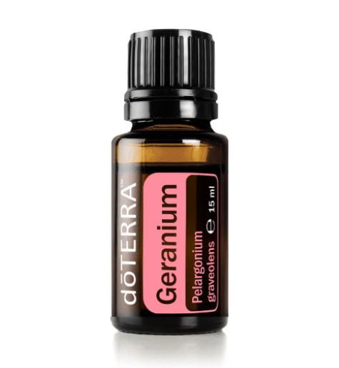 geranium.JPG