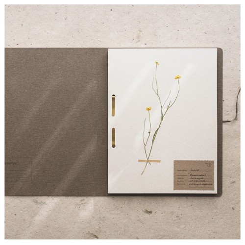 ramka herbarium 2.jpg